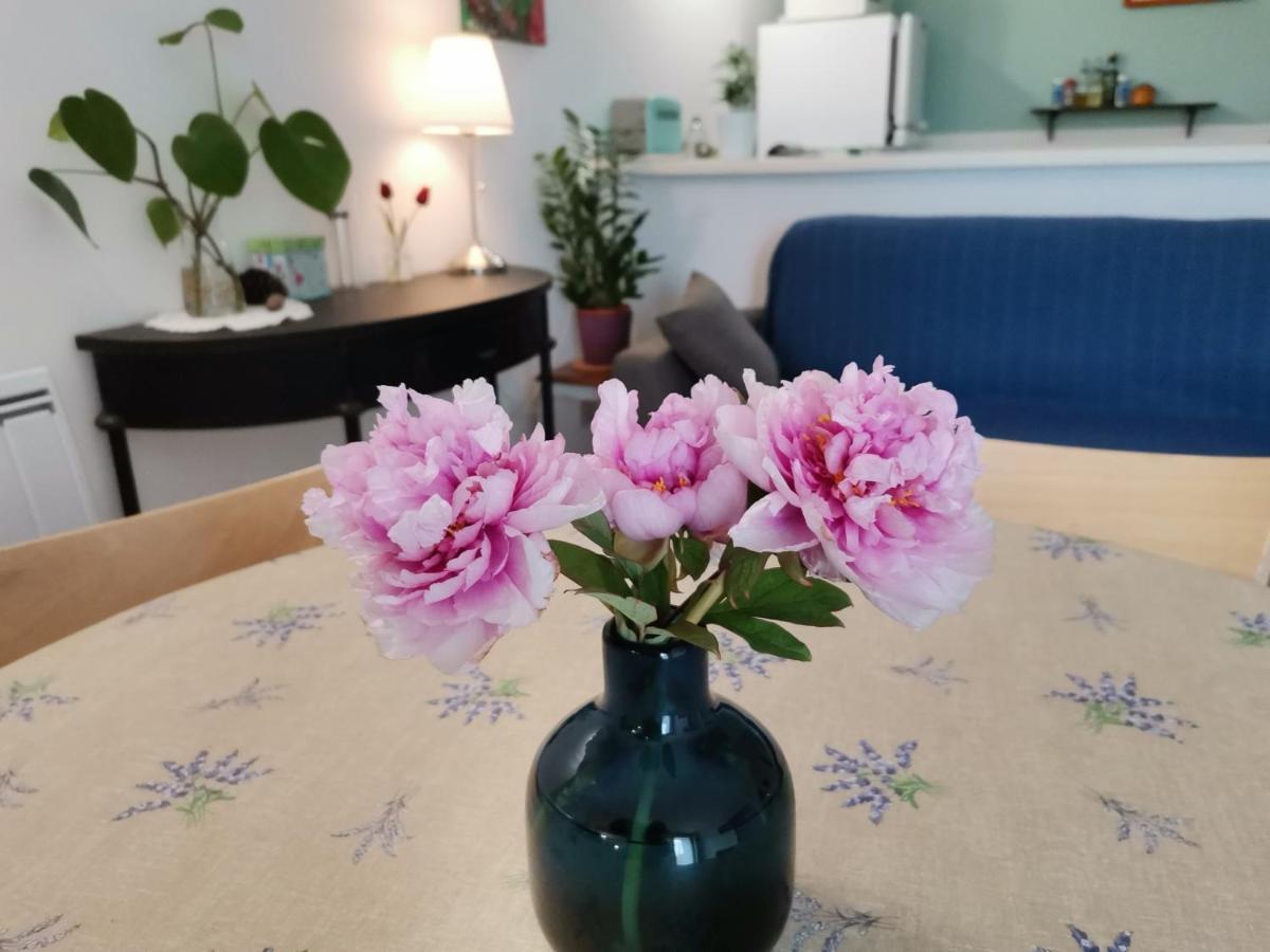 Modene Gite En Provence "Rose" מראה חיצוני תמונה