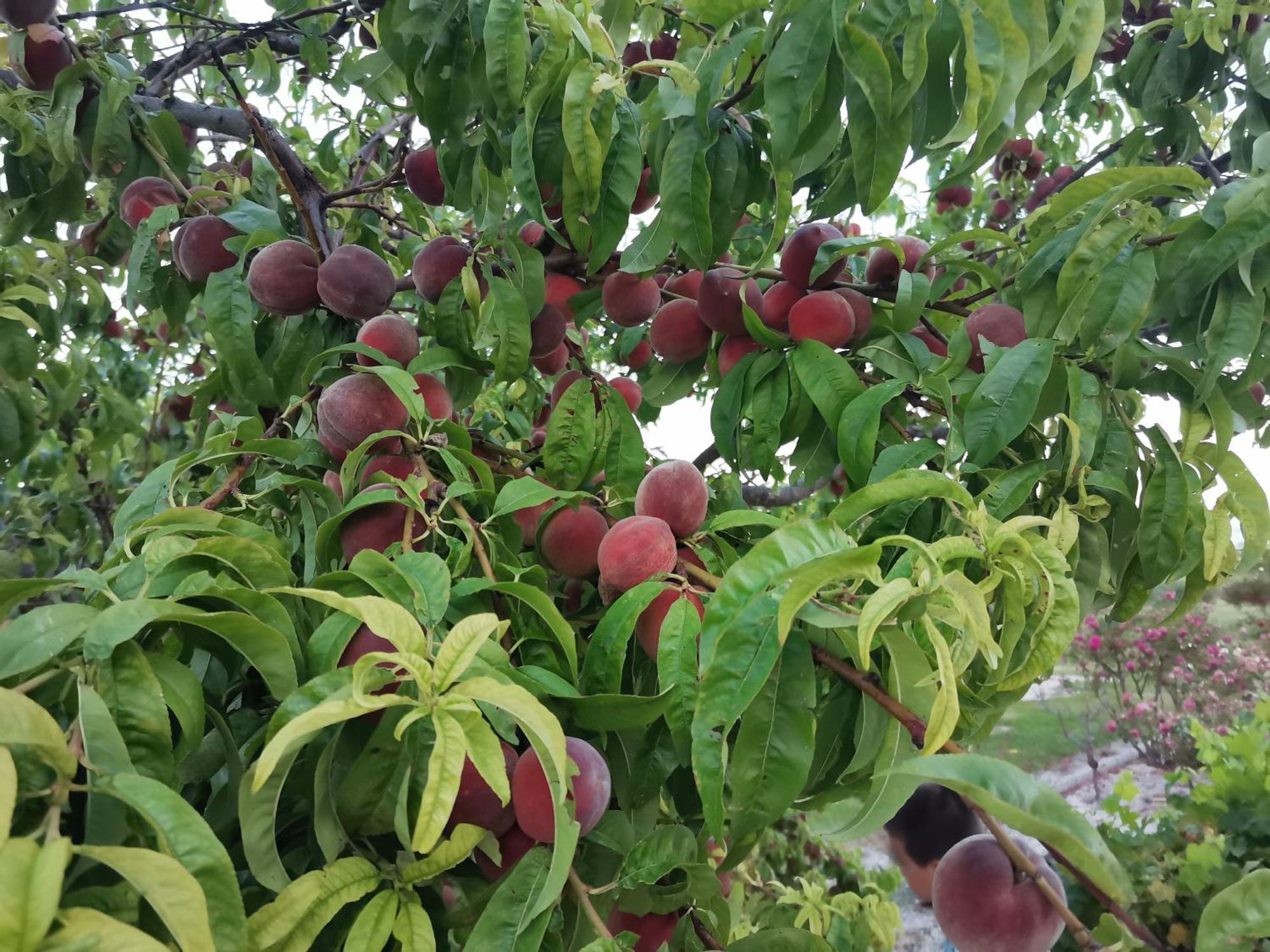 Modene Gite En Provence "Rose" מראה חיצוני תמונה