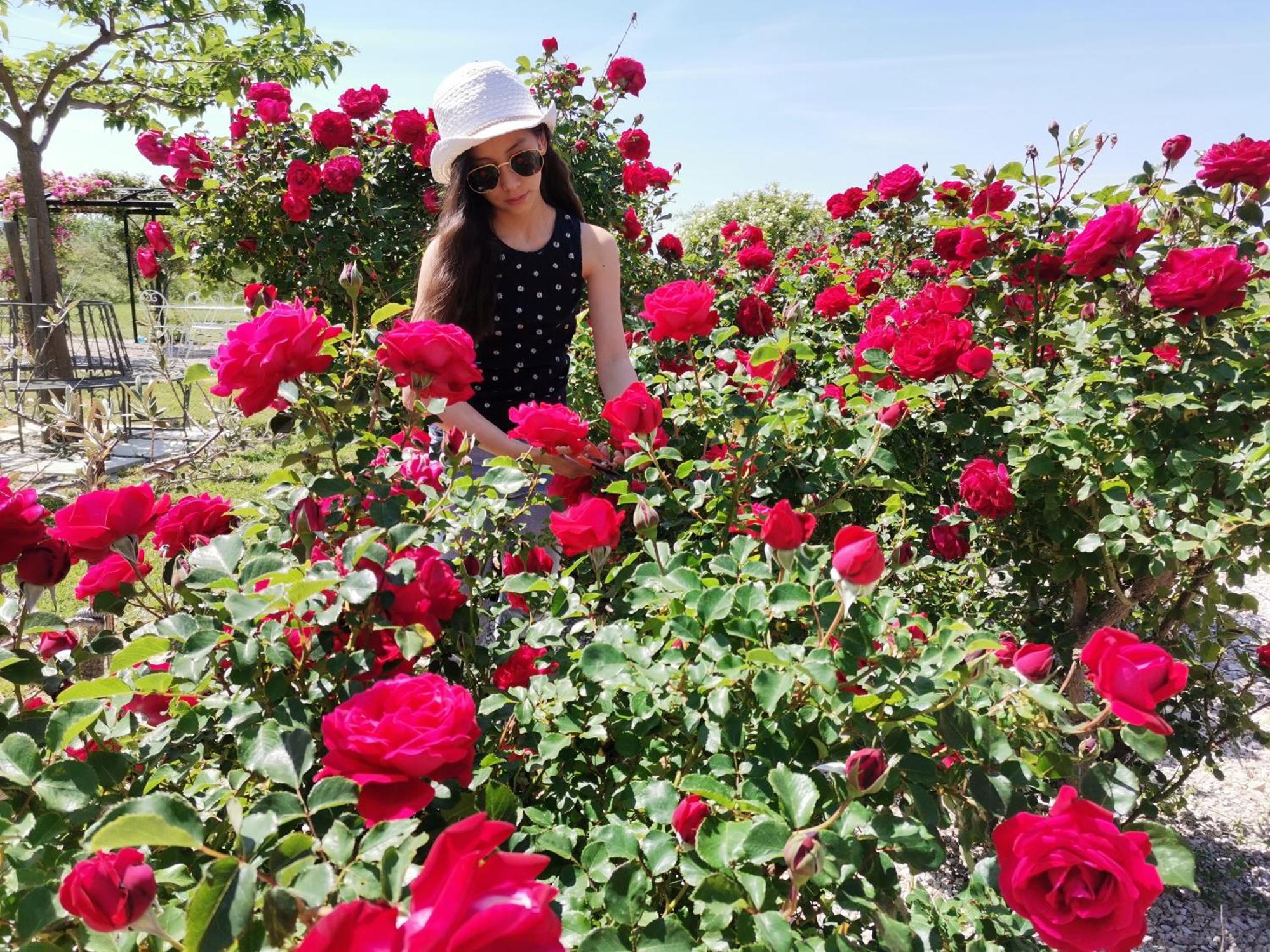Modene Gite En Provence "Rose" מראה חיצוני תמונה