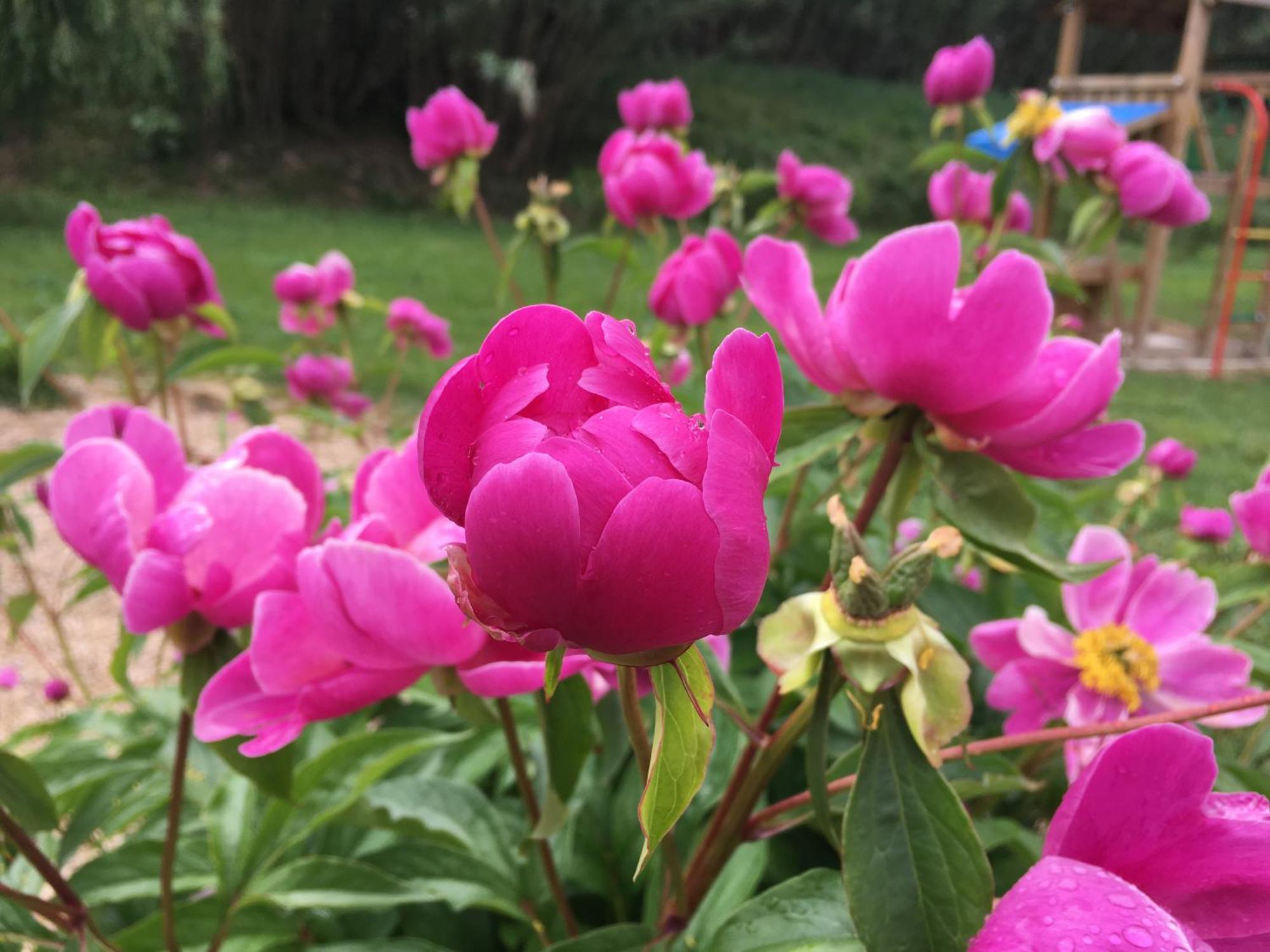 Modene Gite En Provence "Rose" מראה חיצוני תמונה