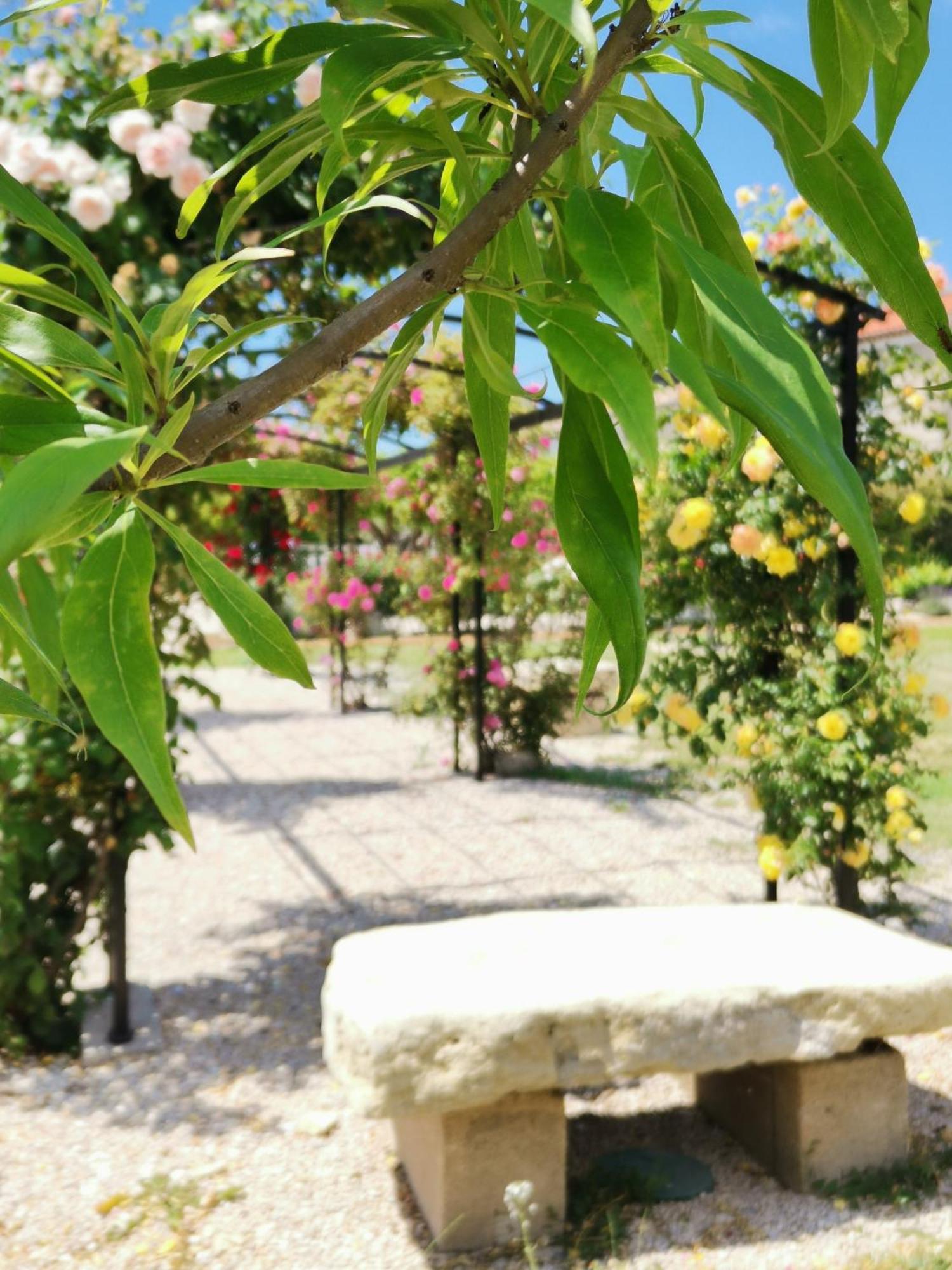 Modene Gite En Provence "Rose" מראה חיצוני תמונה